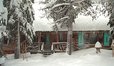 Lucky Tree Cabin, Your Cozy Log Cabin in the Woods